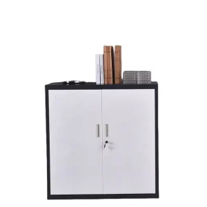 Durable Metal File Cabinet Powder Coated Metal Storage Cabinet with Adjustable Shelves Office Furniture for Home School Use