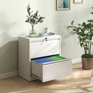 Durable Steel Adjustable Office File Drawers Cabinet 2 Lockable Drawers for Home Office School Hospital Apartment Workshop Use