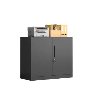 Durable Steel Filing Cabinet with Lock Low File Cabinet Two Doors Large Capacity Storage Cabinet for Office