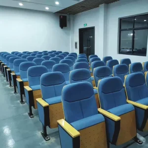 Durable Theater Chairs High comfort Cinema Chairs with Writing Board for Tiered Classrooms and Conference Rooms