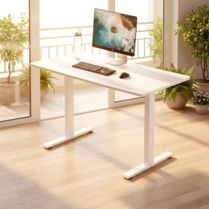 Economic Single Motor Electric Standing Desk Frame 2-Stage Height Adjustable Sit Stand Office Desk Base