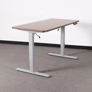 Electric Executive Office Standing Desk Adjustable Height Ergonomic Sit Stand Extendable Table