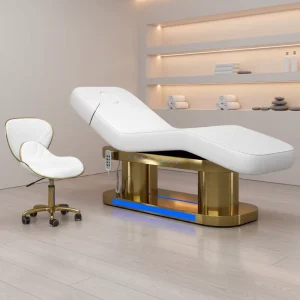 Electric Facial Bed 4 Motors Luxury Spa Treatment Table for Beauty Salon