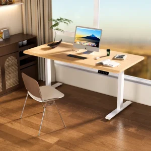 Electric Height Adjustable Double Motors Sit Stand Desk Ergonomic Design Office Home Study Modular Extendable Villa