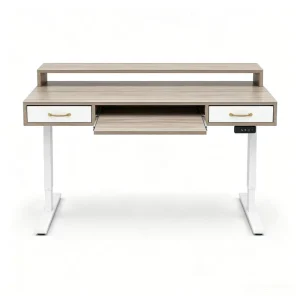 Electric Height Adjustable Office Desk with Storage Drawers Motorized Standing Computer Workstation for Home Office Use