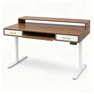 Electric Height Adjustable Standing Desk with Drawers Motorized Sit Stand Computer Workstation for Home Office