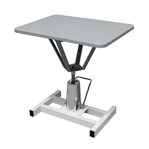Electric Modern Eco friendly Dog Grooming Table Stainless Steel Material CGHLTL 002 for Veterinary Clinic Hospital