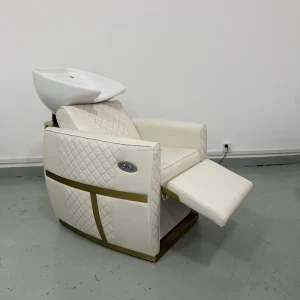 Electric Sit down Shampoo Bed for Small Spaces Leg Rests Can Be Raised and Lowered Porcelain Basin Can Be Adjusted