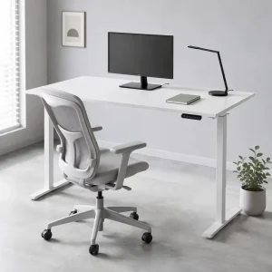 Electric Standing Desk 48 X 24 Inch Height Adjustable Sit Stand Desk White Ergonomic Home Office Computer Table
