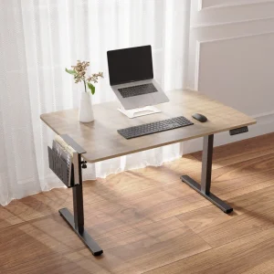 Ergonomic Dual Motor Sit Stand Desk Electric Height Adjustable Office Computer Desk Heavy Duty Steel Frame OEM ODM CE