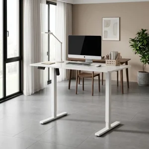 Ergonomic Durable Steel Dual Motor Height Adjustable Freestanding Sit Stand Desk Commercial Office Furniture Office Bedroom
