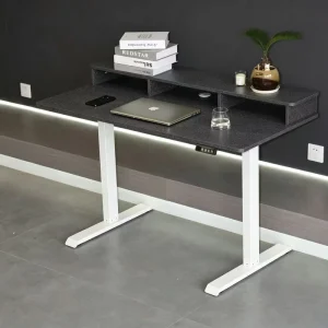 Ergonomic Electric Height Adjustable Standing Desk Dual Motor Sit Stand Workstation for Office and Study