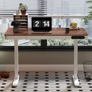 Ergonomic Electric Standing Desk with Dual Motor Modern Steel Ladder Design Adjustable Height for Gaming Home Office Use