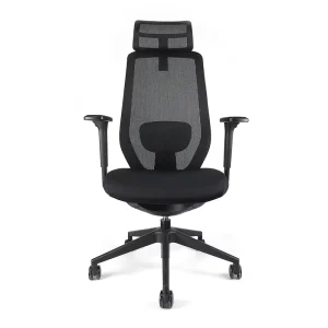 Ergonomic High Back Mesh Office Chair with Adjustable Armrest & Lumbar Support