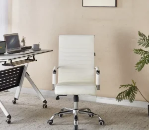 Ergonomic Office Chair