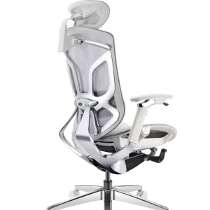 Ergonomic Office Chair Adjustable Twin Back Mesh with 4D Armrests and Dynamic Lumbar Support for Home Office