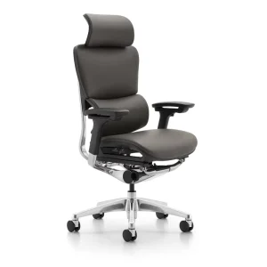 Ergonomic Office Chair with Lumbar Support Adjustable Headrest and Wire Control