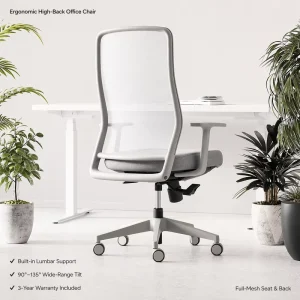 Ergonomic Office Chair with Lumbar Support High Back Swivel Staff Chair