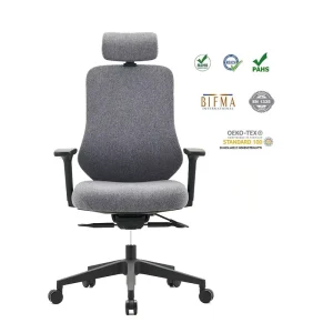 Ergonomic Personalized Elegant Reclinable Office Chairs