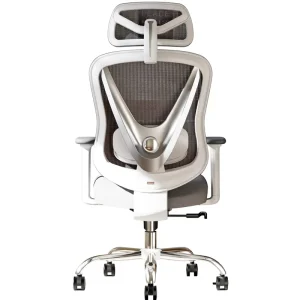 Ergonomic Plastic Office Chair 3D Lumbar Support 3D Adjustable Armrests Mesh Back V Back Design Comfortable Office Home