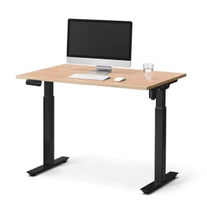 Ergonomic Single Motor Electric Standing Desk 2 Stage Height Adjustable Sit to Stand Office Workstation