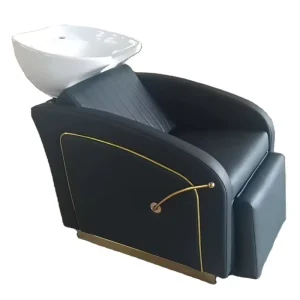 European Style All Black Adjustable Shampoo Chair
