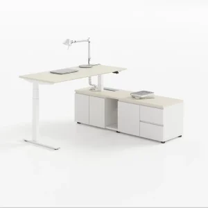 Executive Rear Height Adjustable Standing Desk DPG1C One Touch Control Memory Presets Anti Collision Cold Rolled
