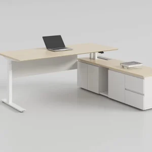 Executive Rear Height Adjustable Standing Desk DPG1C One Touch Control Memory Presets Anti Collision Cold Rolled