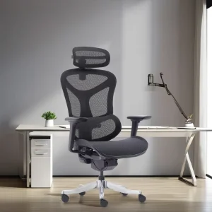 Factory Direct Sale Adjustable Plastic Ergonomic Office Swivel Luxury Executive Chair