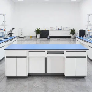 Factory Direct Sale Modern Steel Lab Workbench Storage Cabinet for School University Physics Chemistry Experiments