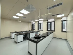 Factory Direct Sales Chemical Resistant Laboratory Workbench With Physics Work Table Bench Lab Furniture
