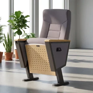 Factory Direct Sales Double Row Auditorium Cinema Chairs Single Foldable Fixed Theater Seats Solid Wood School Home Office