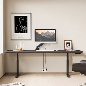 Factory Direct Sales Height adjustable Office Desk Simplicity High End Office Furniture Ergonomic Luxurious Computer Desk