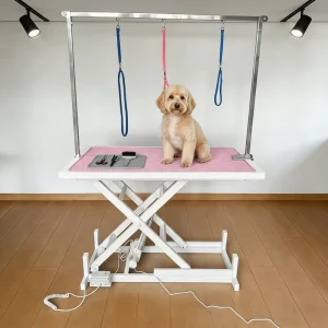 Factory Direct Sales Professional Hydraulic Electric Pet Grooming Table for Salon Dog Cat Hair Cutting Services