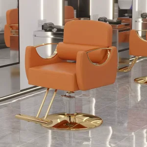 Factory Price All-Purpose Salon Beauty Barber Chair Metal Equipment for Barbers Chair for Living Room From China
