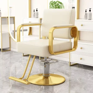 Factory Supply Modern Gold Base Hairdressing Styling Chair Professional Barber Chair
