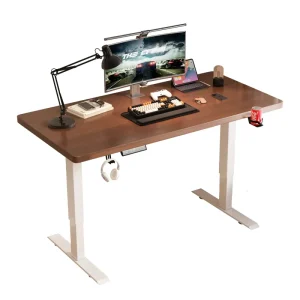 Finesteel Height Electric Adjustable Standing Desks for Office Wooden Desktop