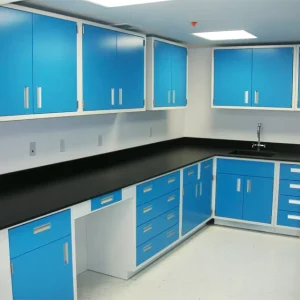 Free Design Stainless Steel Lab Furniture Hospital Pathology Laboratory Wall Work Bench with Gas Valve