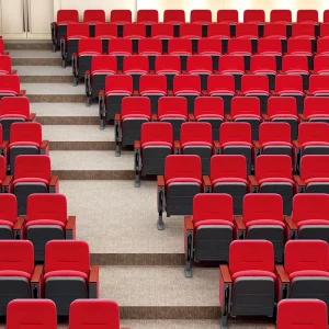 Free Design for Project Auditorium Seats Soft Warm Fabric Cinema Chair Stadium Seats Butaca De Cine Theater Chair Cinema Seating