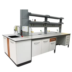 Full Steel Lab Furniture Equipment C Frame Laboratory Benches with Shelf for Clinical Microbiology Pathology Labs