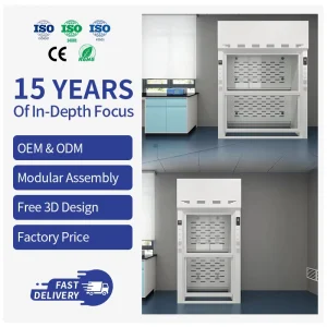 Gas Extractor System Lab Ventilation Cabinet for Hospital Analytical Testing Projects Distributor Partnership Orders