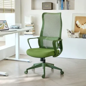 Green Ergonomic Mesh Office Chair Adjustable Lumbar Support Computer Desk Chair for Home Office Workspace