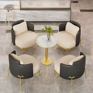 Hall Dining Modern Solid Wood Metal Frame Restaurant Chair