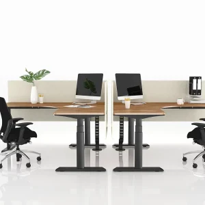 Healthy Life Modern Metal Extendable Office Computer Automatic Electric Height Adjustable Standing Desk
