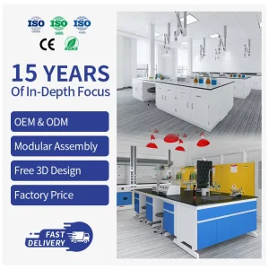 Heavy Duty All Steel Lab Workbench with Under Storage Cabinet Design Corrosion Resistant for Academic Industrial Chemical Laboratory