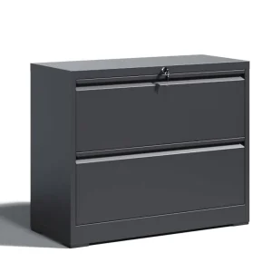 Heavy Duty Modern A4 Lateral Filing Cabinet 2 Drawers Steel Construction Key Lock for Bedroom Office Living Room Outdoor Use