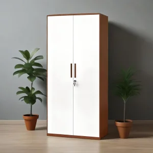 Heavy Duty Office Storage Cabinet Metal 2 Door Adjustable Shelves Suitable for Co Working Space Durable File Storage Cabinet