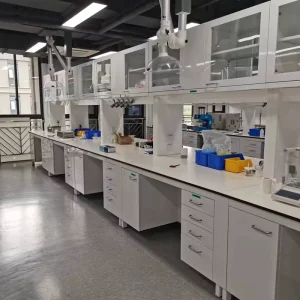 Heavy Duty SGS Tested H Frame Phenolic resin Top Steel Wood Laboratory Test Bench with Cabinet for R&D Research Lab