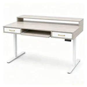 Height Adjustable Computer Desk with Drawers Electric Standing Workstation Storage Table for Home Office Bedroom