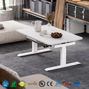 Height Adjustable Dual Motor Sit Stand Desk Ergonomic Design Office Home Study Multi functional Casual Table